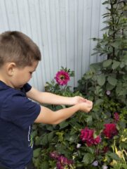 акции "Капля жизни"