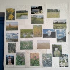 выставка «Я здесь живу и край мне этот дорог